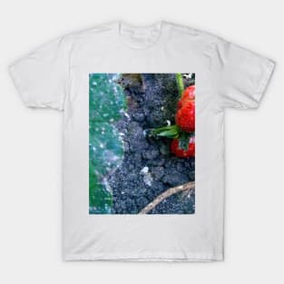 Strawberry T-Shirt